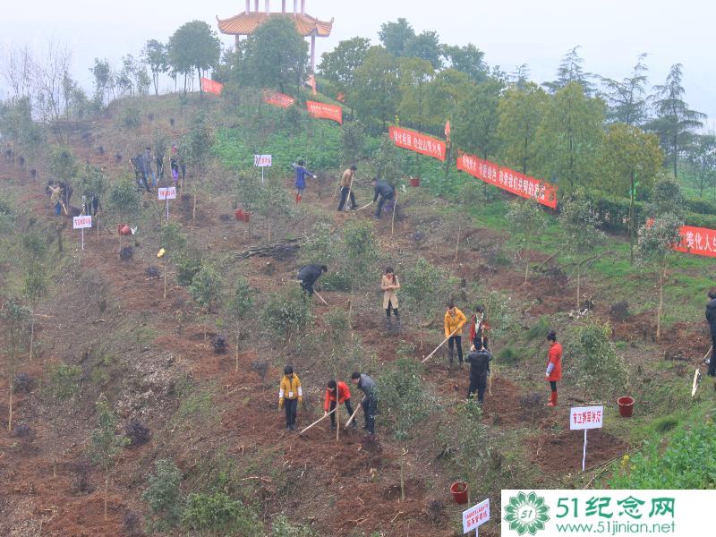 陵园内开展义务植树活动_网上祭奠亲人_网上祭奠英烈_如何网上祭拜