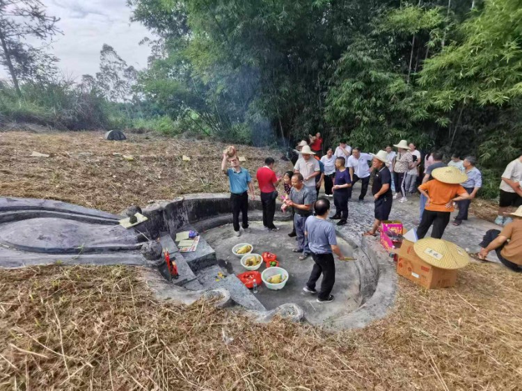 n1.jpg