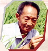 袁隆平 _悼念词_悼念短信_悼念诗词
