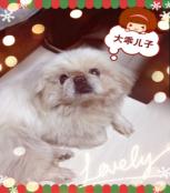 乐乐20130214 _51纪念网