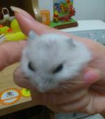 妹妹 _51纪念网