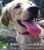 小可 _51纪念网