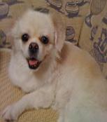 BB BEAR _51纪念网