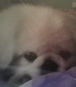 磊磊 _51纪念网
