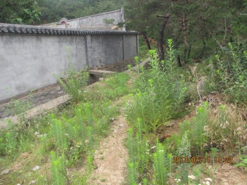 修路与修行_51纪念网
