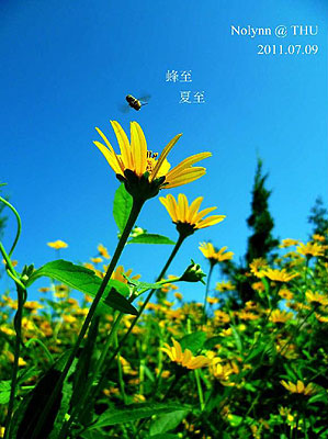 与夏至有关的民俗文化_51纪念网