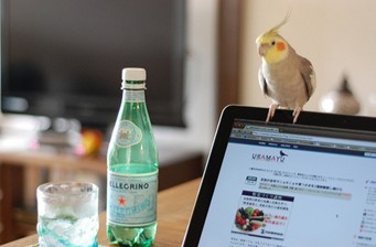 电脑风水八大原则_51纪念网