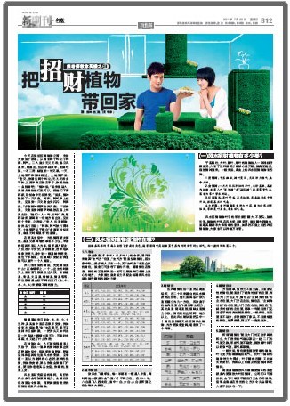 把招财植物带回家_51纪念网
