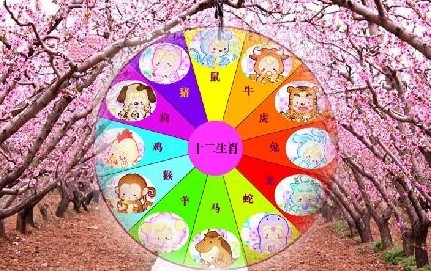 2012年如何升旺桃花运_51纪念网