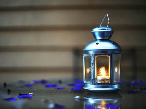 利用花草植物达到催财目的_51纪念网