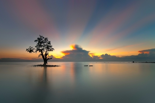 2015年升官发财的6大布局秘诀_51纪念网