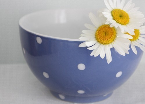 卧室内摆放花草植物要慎重_51纪念网