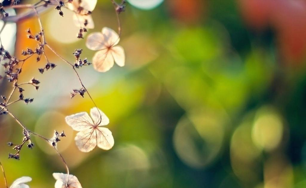 注意这些小风水，让你的春节百无禁忌！_51纪念网