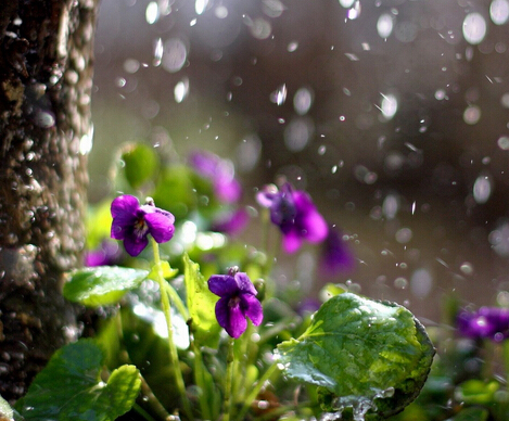 张鑫龙:家财万贯的风水宝地择选_51纪念网
