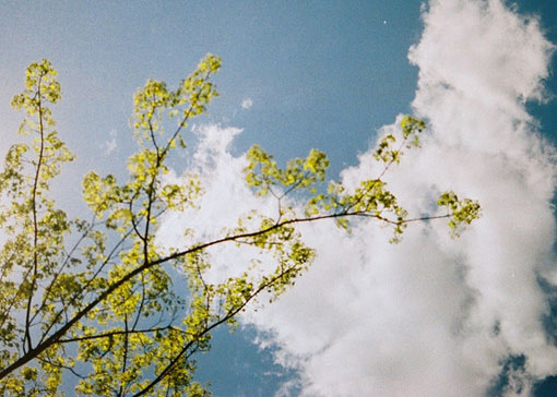 详解：水形宅格局会损丁漏财_51纪念网