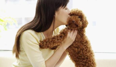 家居风水看你适不适合养狗_51纪念网