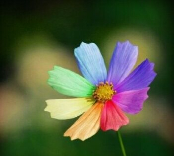 五分钟看懂什么是“风水”_51纪念网