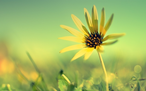 绝妙六招让你甩掉败运霉头_51纪念网