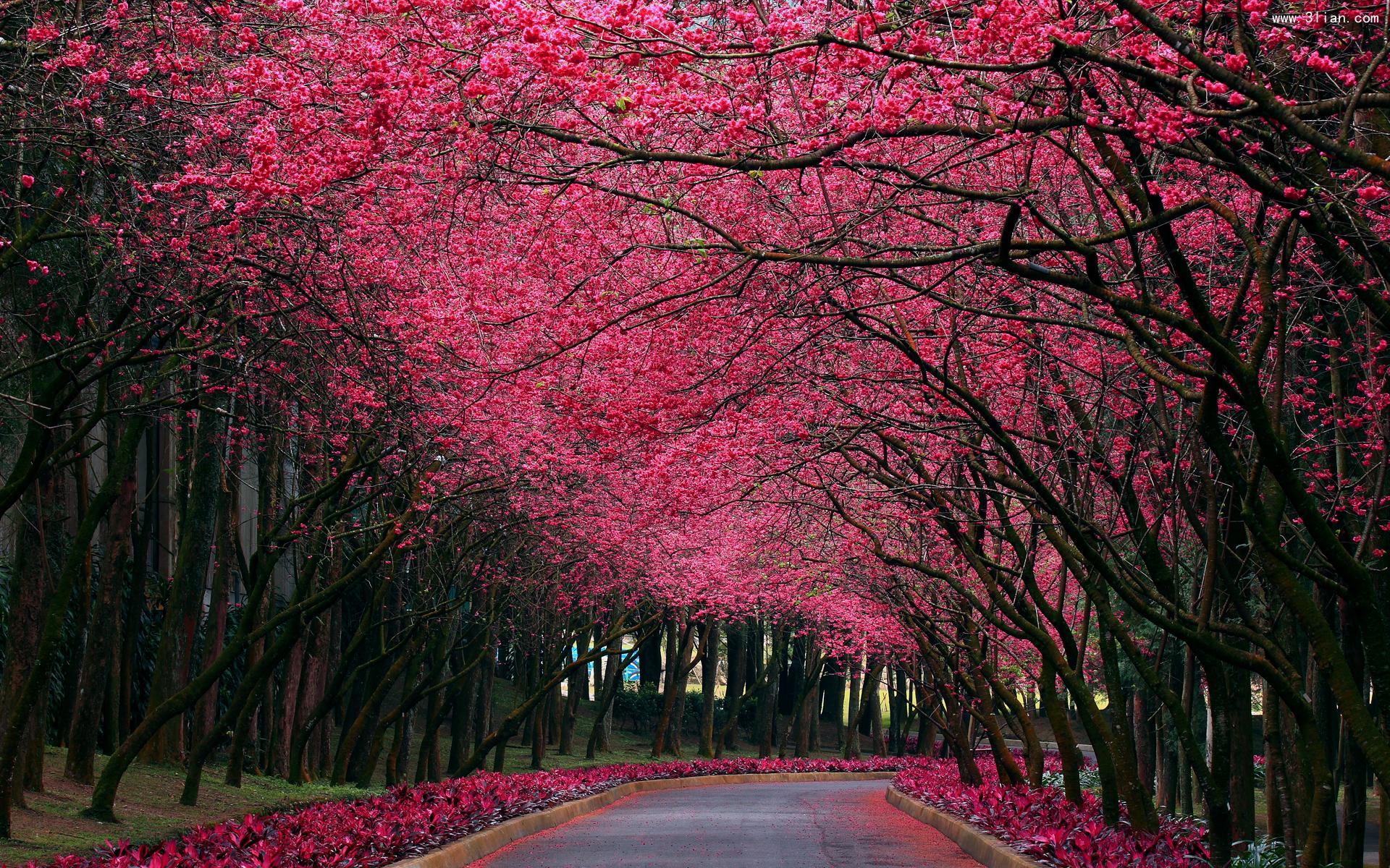 12月25日出行的风水禁忌_51纪念网