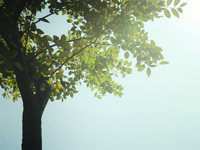 什么样的房子风水好_51纪念网