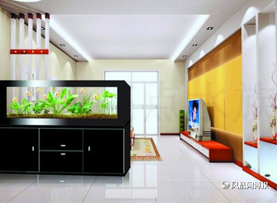 说说鱼缸的那些事_51纪念网