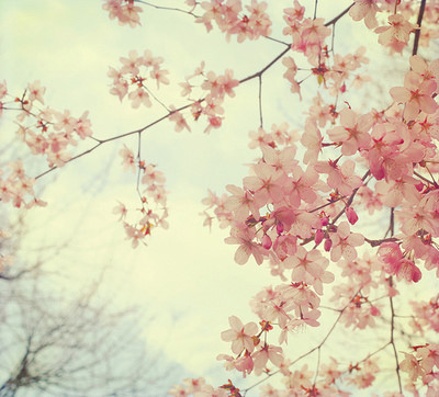 1月4日出行风水禁忌_51纪念网