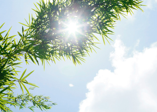 坟墓风水对家人的影响_51纪念网