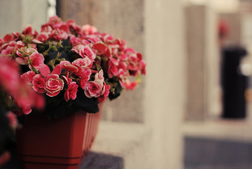 风水的分类_51纪念网