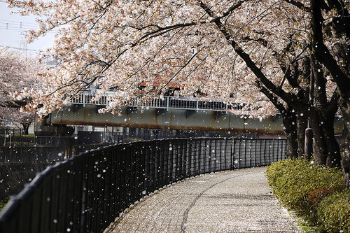 家居风水旺财运的招数_51纪念网