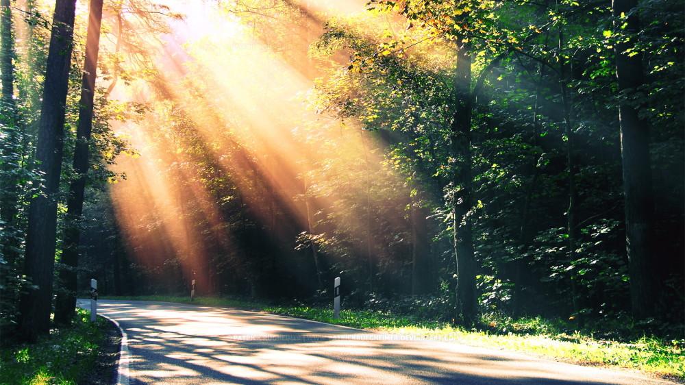 对冲相位能说明什么？_51纪念网