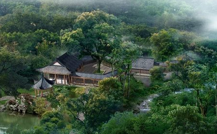 住宅周围有树对风水的影响_51纪念网