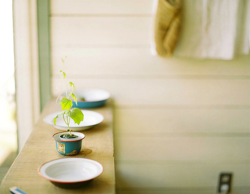 如何化解办公室小人_51纪念网