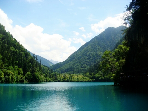 警惕招灾致病的五种水_51纪念网