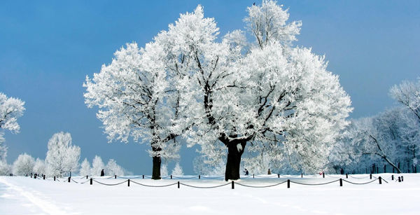 立冬节气的三大习俗_51纪念网