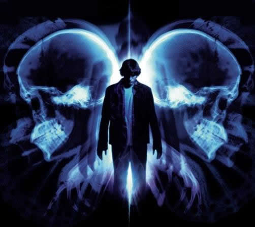 家居风水中的蝴蝶效应_51纪念网