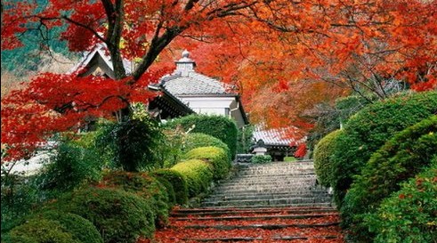 哪些变化预示好运要来了_51纪念网