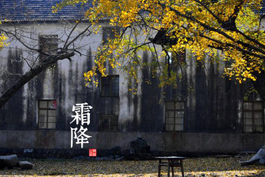 霜降节气也开运_51纪念网