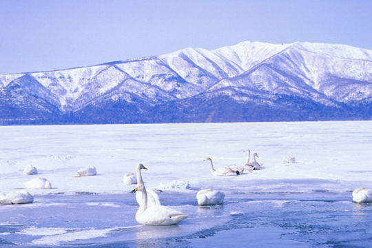 立冬来临的开运事项_51纪念网