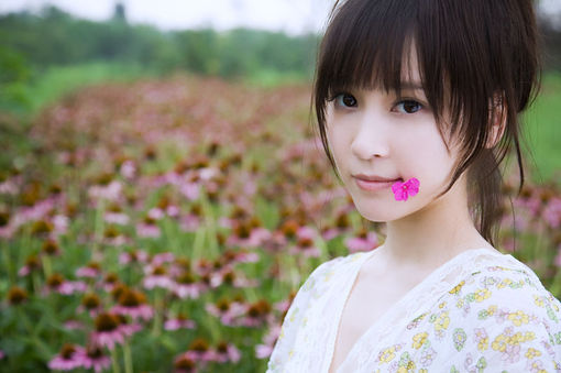 2012年农历四月结婚吉日_51纪念网