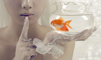 金鱼为什么被称为风水鱼_51纪念网