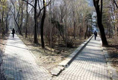 六种地形杀死商铺_51纪念网