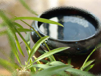 园艺风水助运法_51纪念网