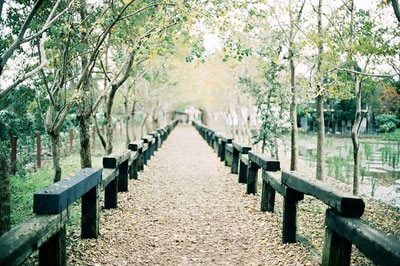 哪些风水观念会害了你_51纪念网