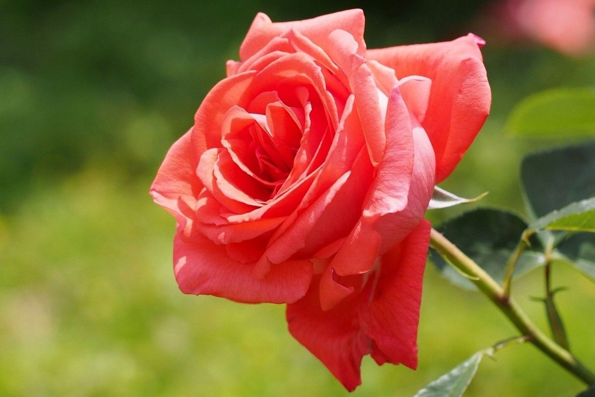 家居不同方位选用什么颜色最旺运？_51纪念网