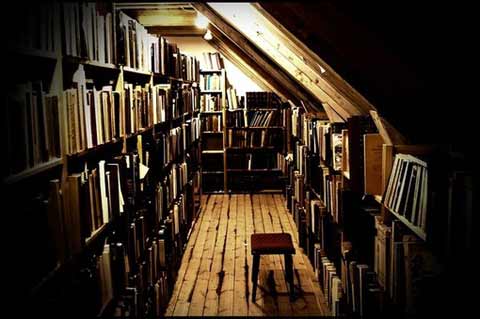 2011年哪个朝向要小心_51纪念网