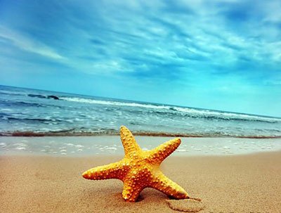 生肖四月运势晴雨表_51纪念网