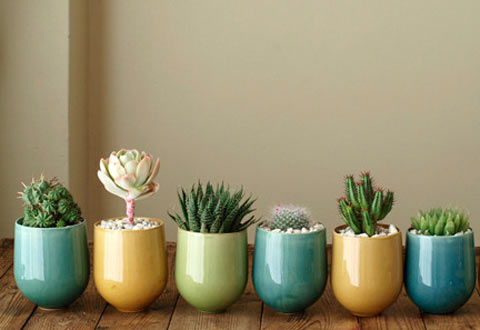 财神最爱光临的家居摆设_51纪念网