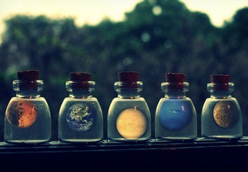 12星座的办公室开运植物_51纪念网