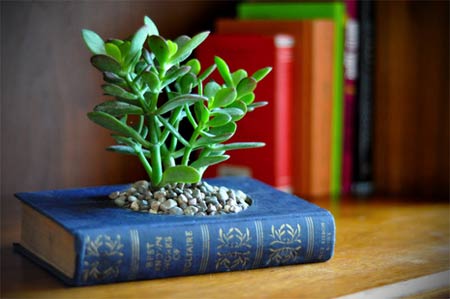 真正避邪的几种护身物_51纪念网