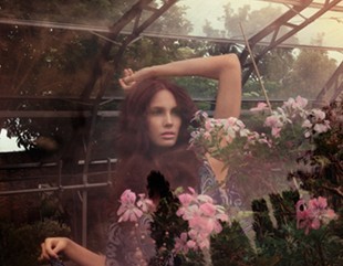 会降低EQ的玻璃风水_51纪念网